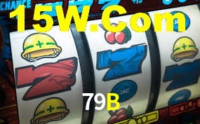 Programa VIP 79B